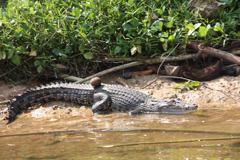 Sri Lanka, Bentota